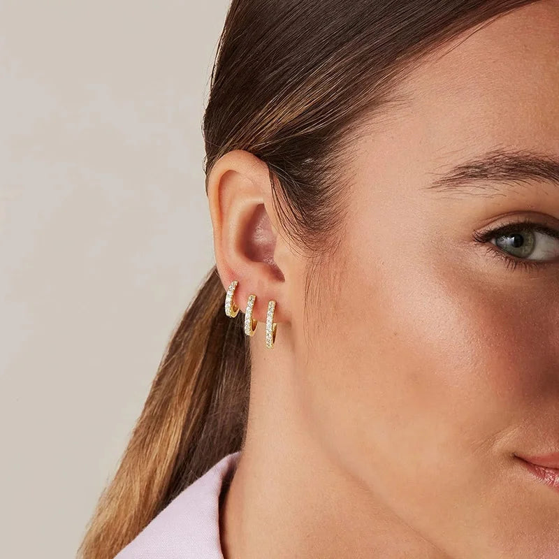Elegance Hoop Earrings Duo