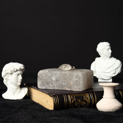 Timeless Icarus Ring